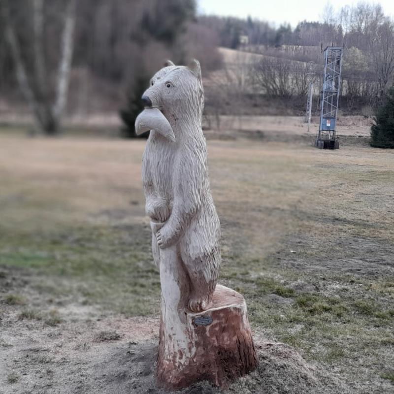 Medvěd