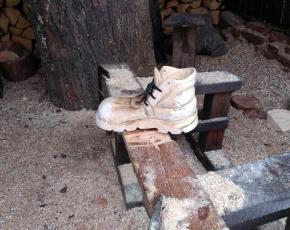 Bota