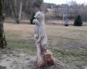 Medvědi